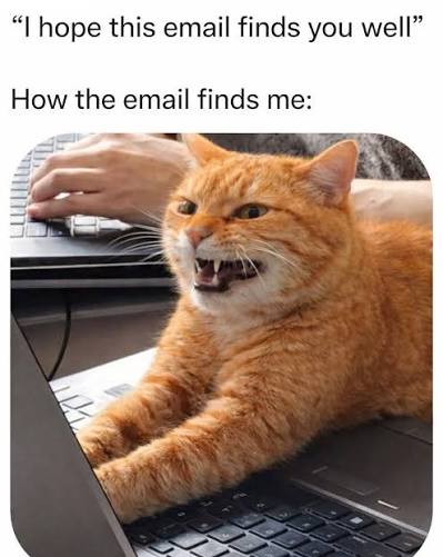 Meme of an orange cat baring its teeth at a laptop. Caption: “I hope this email finds you well” — how the email finds me.